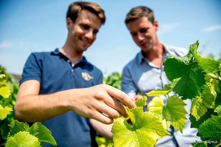 Reims Afternoon Champagne Tour: Hautvillers and Two Family Growers, Six Tastings (5/9)