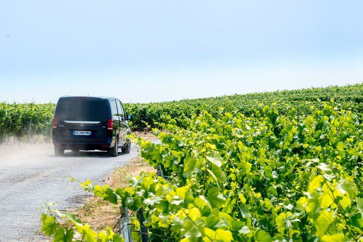 Reims Afternoon Champagne Tour: Hautvillers and Two Family Growers, Six Tastings (6/9)