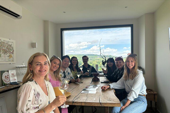 Reims Afternoon Champagne Tour: Hautvillers and Two Family Growers, Six Tastings (7/9)
