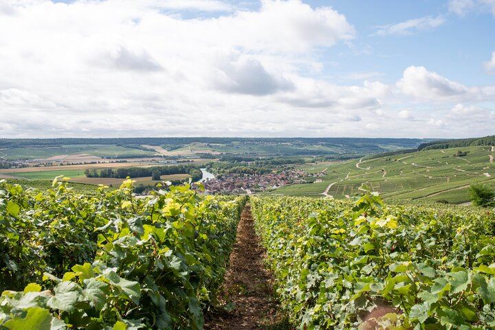 Reims Afternoon Champagne Tour: Hautvillers and Two Family Growers, Six Tastings (3/9)
