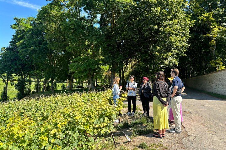 Veuve Clicquot Cellars and Family House Day Tour from Épernay or Reims, Estate Lunch (7/12)