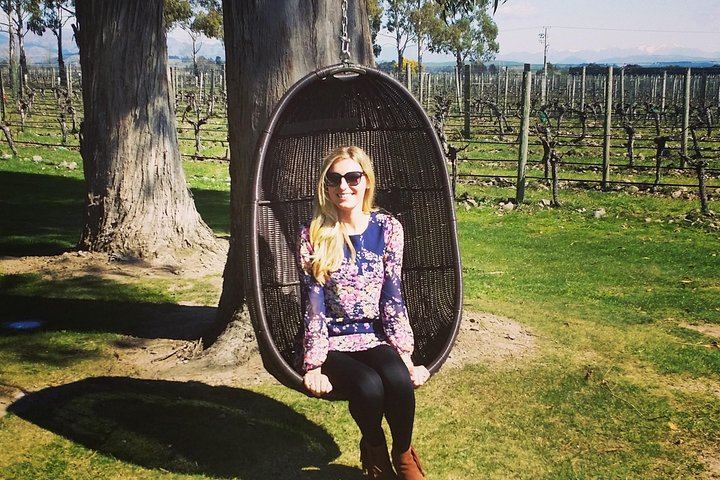 Half-Day Marlborough Wine Tour with a Winemaker Guide, 3-4 Wineries and Lunch (2/10)