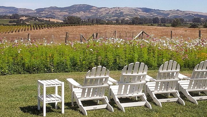Healdsburg Dry Creek Valley Bike Tour: Three Wineries and Picnic Lunch (4/9)