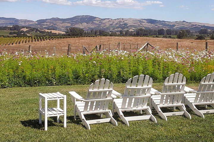 Healdsburg Dry Creek Valley Bike Tour: Three Wineries and Picnic Lunch (4/9)