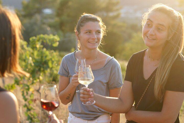 Nice Vineyard Visit and Winery Tour with Sommelier, 3 Options from Group to Private (8/12)