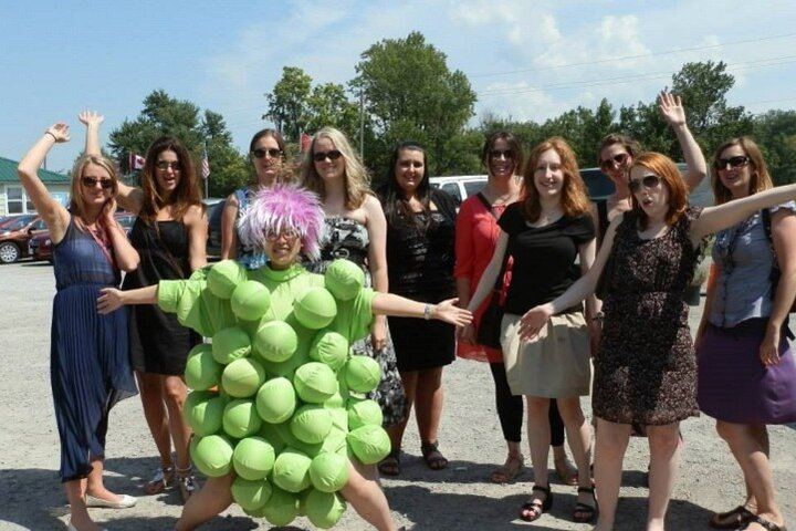 Niagara Afternoon Wine Tasting Tour: 3 Wineries, a Winery Tour and Winemaker Q&A (1/10)