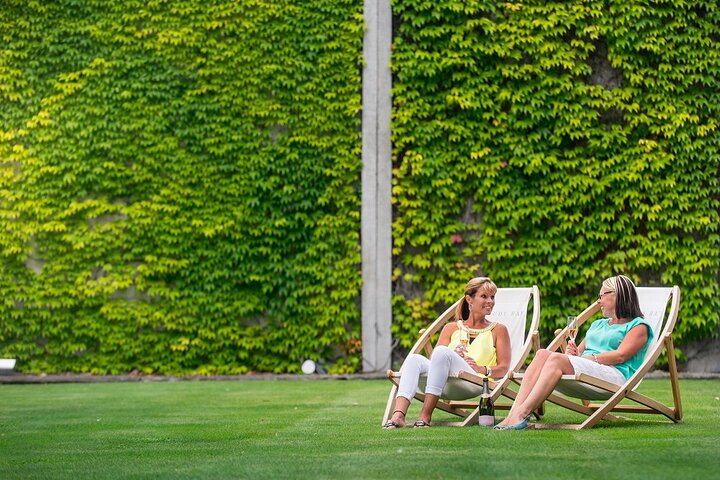 Full-Day Small-Group Marlborough Wine Tour from Blenheim with Winery Lunch (7/9)