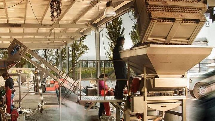 Renacer Winery Experience in Luján de Cuyo: Vineyard Tour, VR and 4-Wine Tasting (4/5)