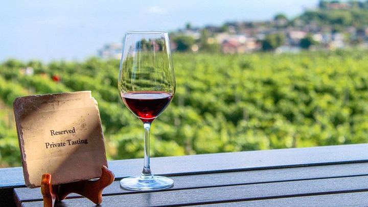 Kelowna or West Kelowna Afternoon Wine Tour by Mercedes Van, Up to 4 Hours (1/12)