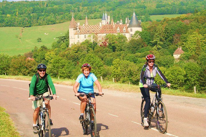 Burgundy Bike and Wine Tour: Downhill from Beaune with a Minivan Transfer and 4 Wines (7/12)