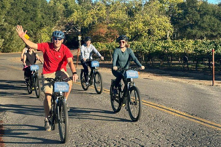 Healdsburg Dry Creek Valley Bike Tour: Three Wineries and Picnic Lunch (1/9)
