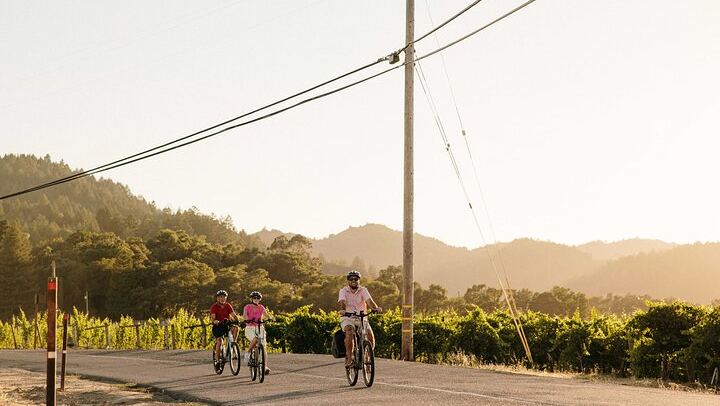 Half-Day Electric Bike Wine Tour in Sonoma County: Two Wineries and Lunch (2/5)