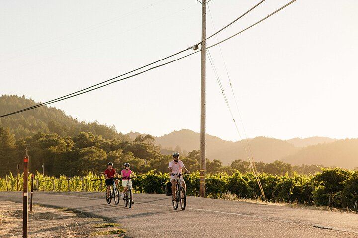 Half-Day Electric Bike Wine Tour in Sonoma County: Two Wineries and Lunch (2/5)
