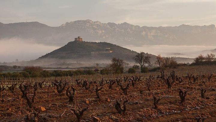 Rioja Alavesa Day Trip: Four Winery Tastings and Medieval Villages (4/12)
