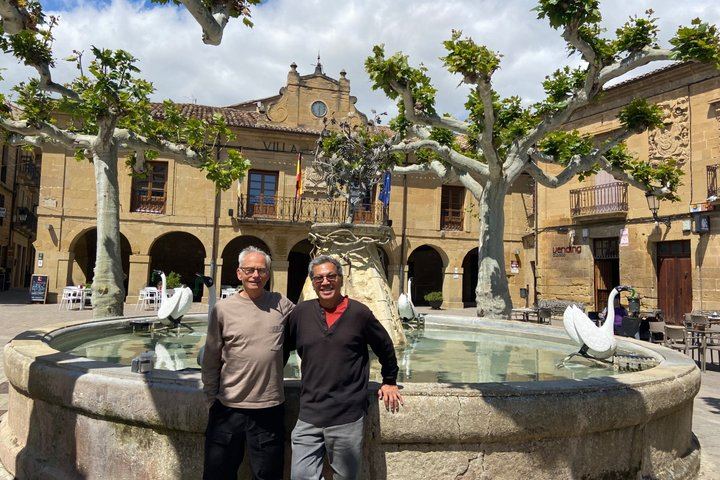 Rioja Alavesa Day Trip: Four Winery Tastings and Medieval Villages (11/12)