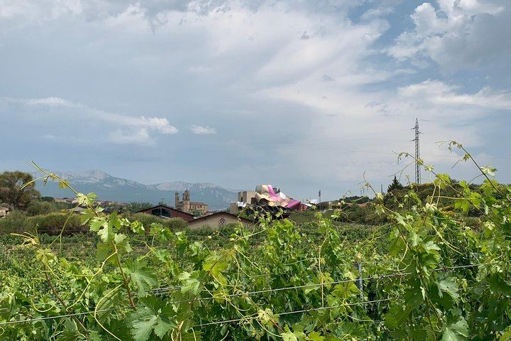 Rioja Alavesa Day Trip: Four Winery Tastings and Medieval Villages (6/12)