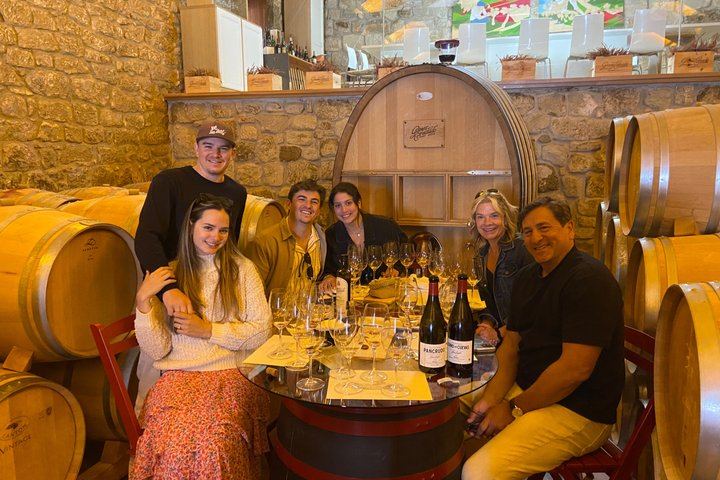Rioja Alavesa Day Trip: Four Winery Tastings and Medieval Villages (12/12)