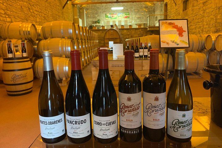 Rioja Alavesa Day Trip: Four Winery Tastings and Medieval Villages (5/12)