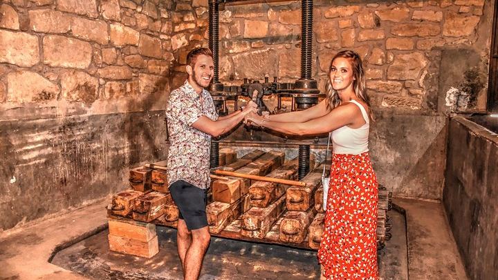 Full-Day Rioja Alta and Alavesa Wine Tour: Two Family Wineries, Vineyard Walk, Local Food (2/11)