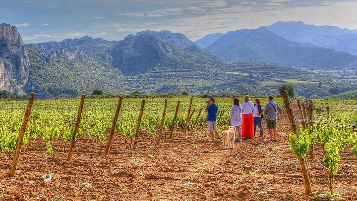 Full-Day Rioja Alta and Alavesa Wine Tour: Two Family Wineries, Vineyard Walk, Local Food (1/11)