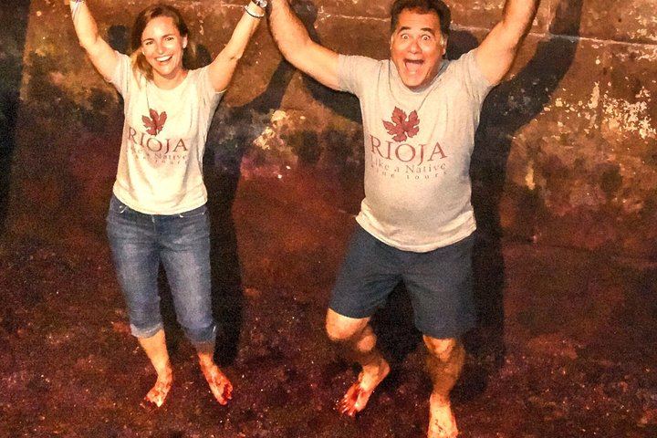 Full-Day Rioja Alta and Alavesa Wine Tour: Two Family Wineries, Vineyard Walk, Local Food (9/11)