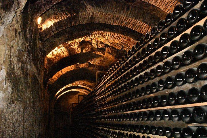 Full-Day Rioja Alta and Alavesa Wine Tour: Two Family Wineries, Vineyard Walk, Local Food (11/11)