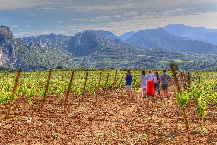 Full-Day Rioja Alta and Alavesa Wine Tour: Two Family Wineries, Vineyard Walk, Local Food (1/11)