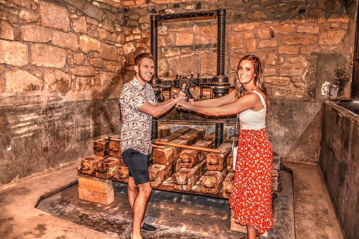 Full-Day Rioja Alta and Alavesa Wine Tour: Two Family Wineries, Vineyard Walk, Local Food (2/11)