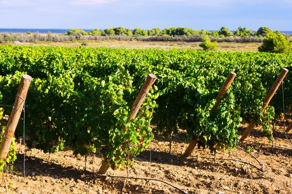 Rioja