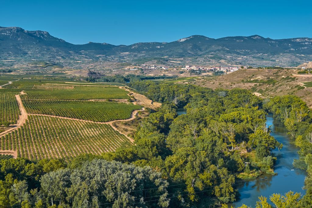 Vineyards and green river woodland in La Rioja, Spain, with a range of mountains on the horizon