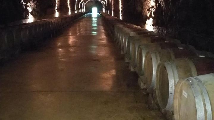 Private Rioja Winery Hopping from San Sebastian: Gomez Cruzado, Ostatu and Laguardia (3/11)