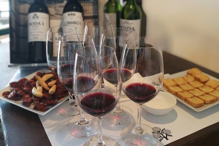 Private Rioja Winery Hopping from San Sebastian: Gomez Cruzado, Ostatu and Laguardia (1/11)
