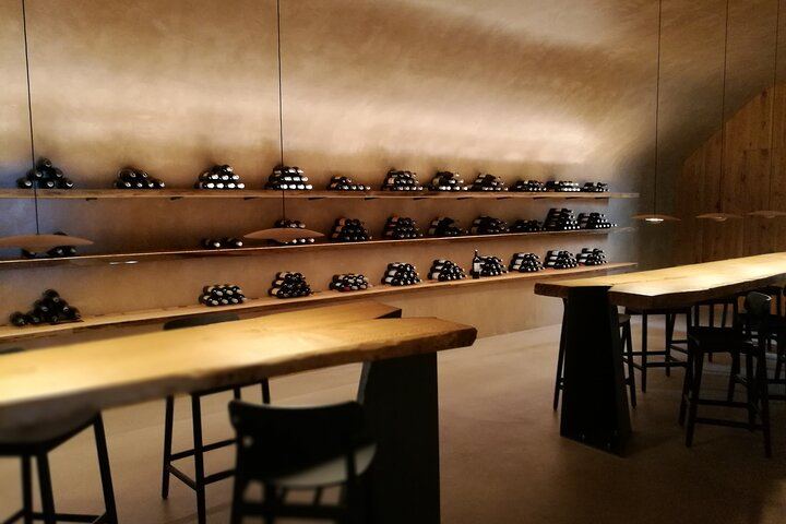 Private Rioja Winery Hopping from San Sebastian: Gomez Cruzado, Ostatu and Laguardia (8/11)