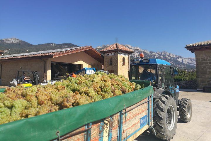Private Rioja Winery Hopping from San Sebastian: Gomez Cruzado, Ostatu and Laguardia (5/11)