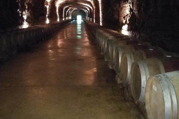Private Rioja Winery Hopping from San Sebastian: Gomez Cruzado, Ostatu and Laguardia (3/11)