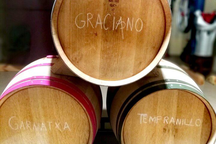 Private Rioja Winery Hopping from San Sebastian: Gomez Cruzado, Ostatu and Laguardia (11/11)