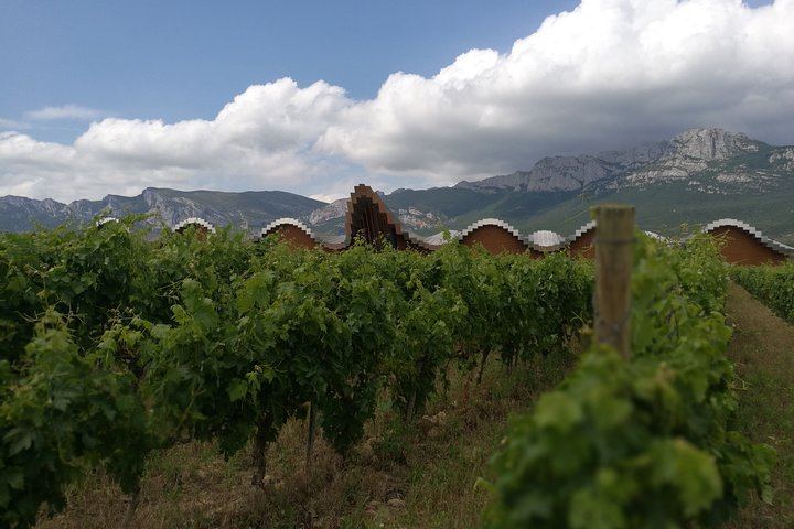 Private Rioja Winery Hopping from San Sebastian: Gomez Cruzado, Ostatu and Laguardia (9/11)