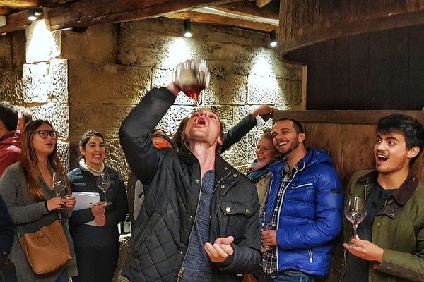 Rioja Wine Route with the Owner of La Bodega del Tesoro: Three Wineries and 1881 Lunch