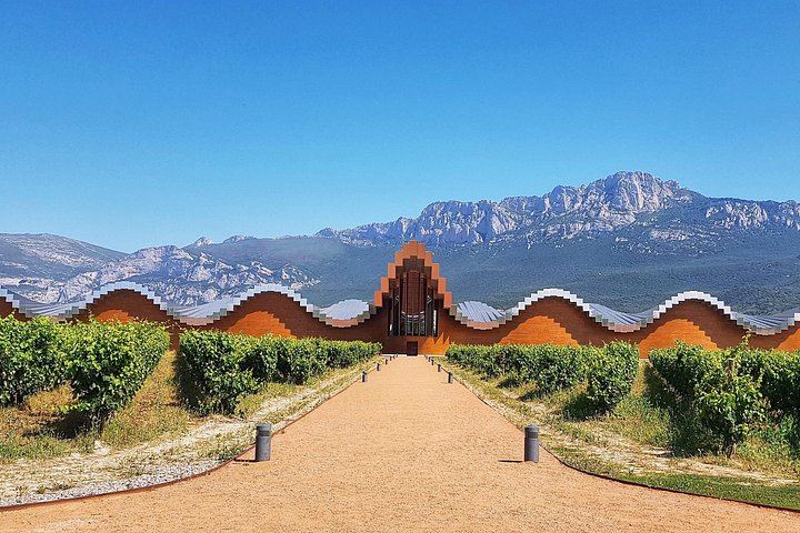 Rioja Wine Route with the Owner of La Bodega del Tesoro: Three Wineries and 1881 Lunch (2/11)