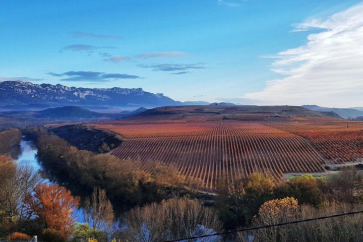 Rioja Wine Route with the Owner of La Bodega del Tesoro: Three Wineries and 1881 Lunch (9/11)