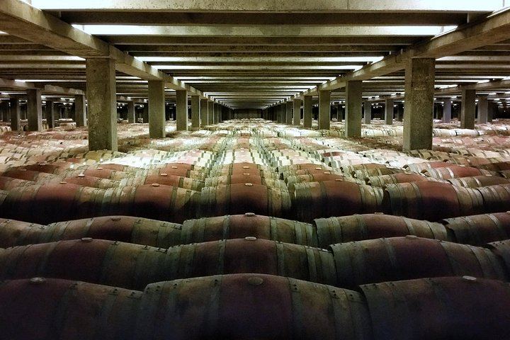 Rioja Wine Route with the Owner of La Bodega del Tesoro: Three Wineries and 1881 Lunch (7/11)