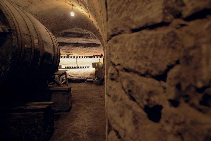 Rioja Wine Route with the Owner of La Bodega del Tesoro: Three Wineries and 1881 Lunch (3/11)