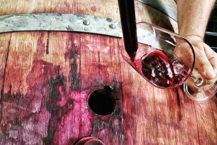 Rioja Wine Route with the Owner of La Bodega del Tesoro: Three Wineries and 1881 Lunch (10/11)
