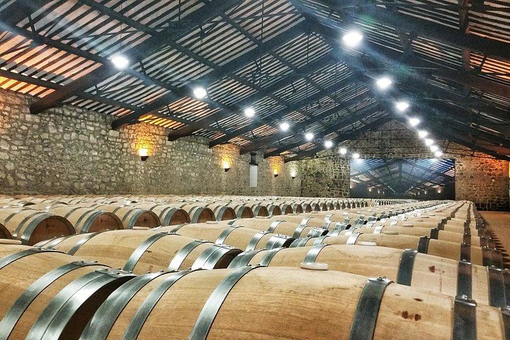 Rioja Wine Route with the Owner of La Bodega del Tesoro: Three Wineries and 1881 Lunch (6/11)
