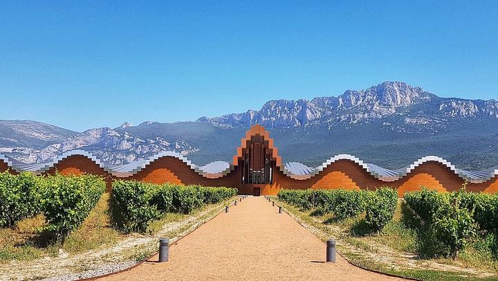 Rioja Wine Route with the Owner of La Bodega del Tesoro: Three Wineries and 1881 Lunch (2/11)