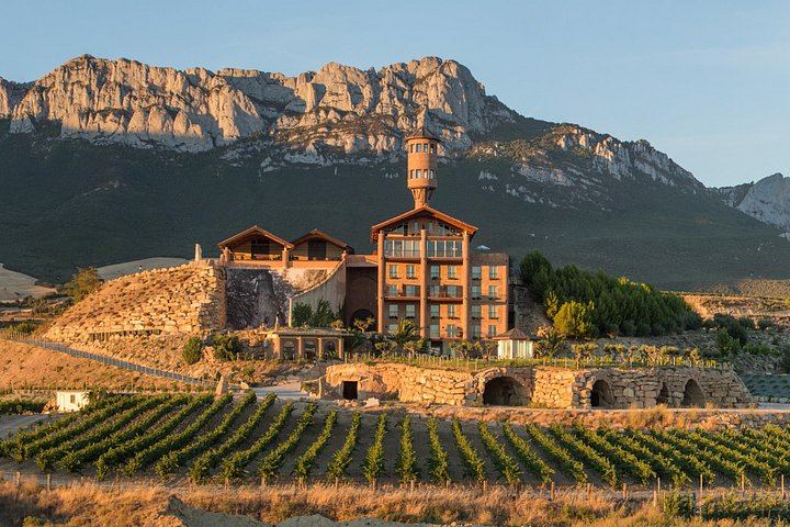 Private Rioja Winery Day from San Sebastian: Four-Course Riojan Lunch with Lamb Chops (11/12)