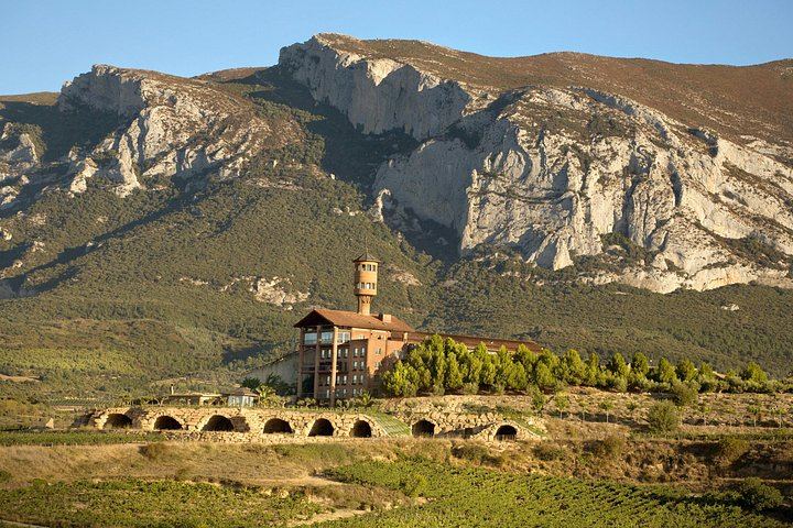 Private Rioja Winery Day from San Sebastian: Four-Course Riojan Lunch with Lamb Chops (10/12)