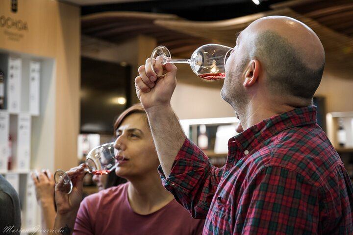 Private Rioja Winery Day from San Sebastian: Four-Course Riojan Lunch with Lamb Chops (8/12)