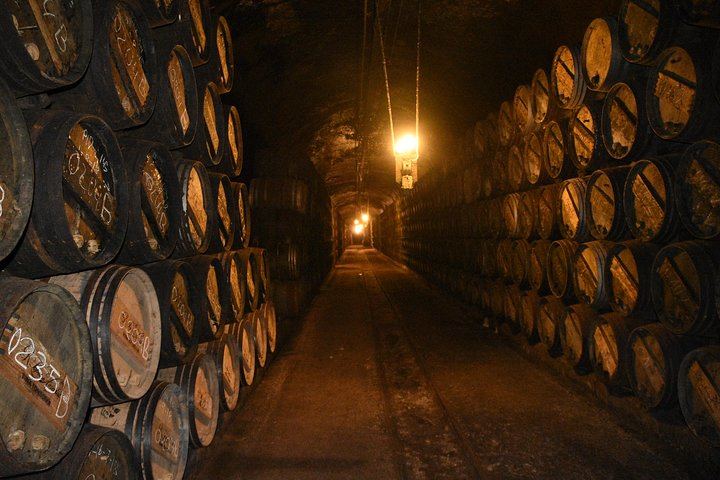 Rioja Alta Wine Day: 15th-Century Cellar, Grape Treading, Barrels and Lunch (6/8)