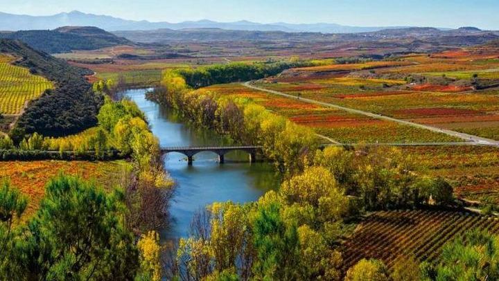 Rioja Alta Wine Day: 15th-Century Cellar, Grape Treading, Barrels and Lunch (1/8)